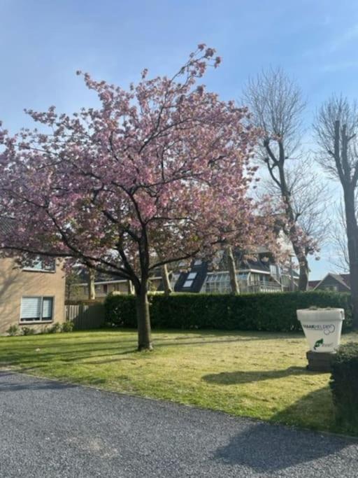 Holidayhome Zonnestraal 9P Amsterdam And The Beach Heerhugowaard Kültér fotó